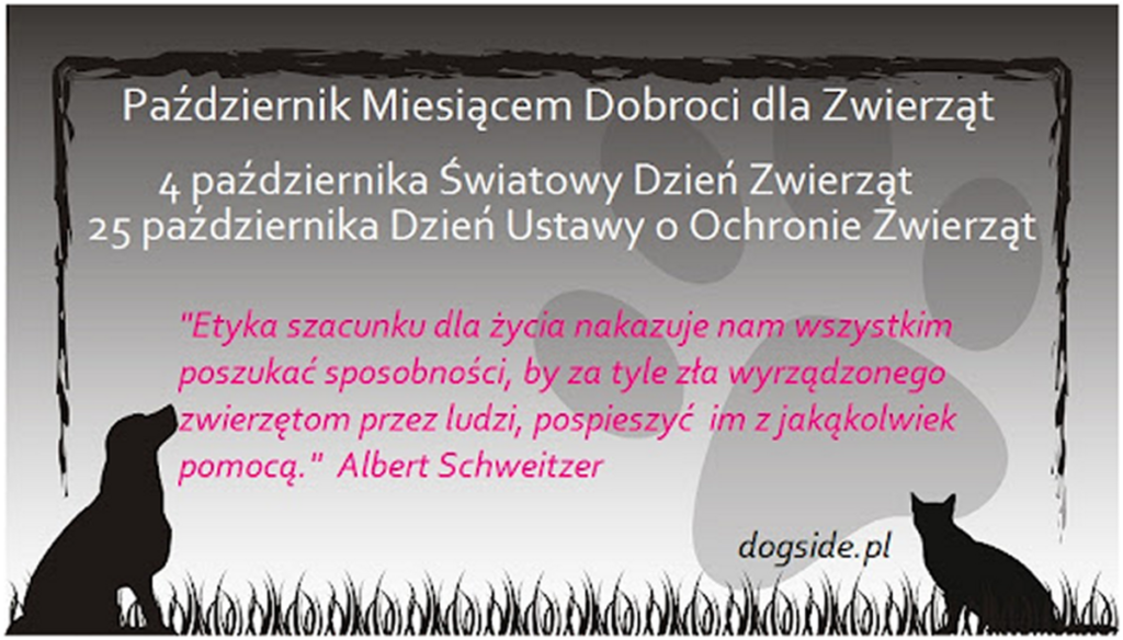 KONKURS FOTOGRAFICZNY „MÓJ ULUBIONY ZWIERZAK”