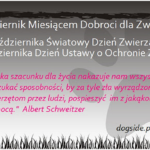 KONKURS FOTOGRAFICZNY „MÓJ ULUBIONY ZWIERZAK”