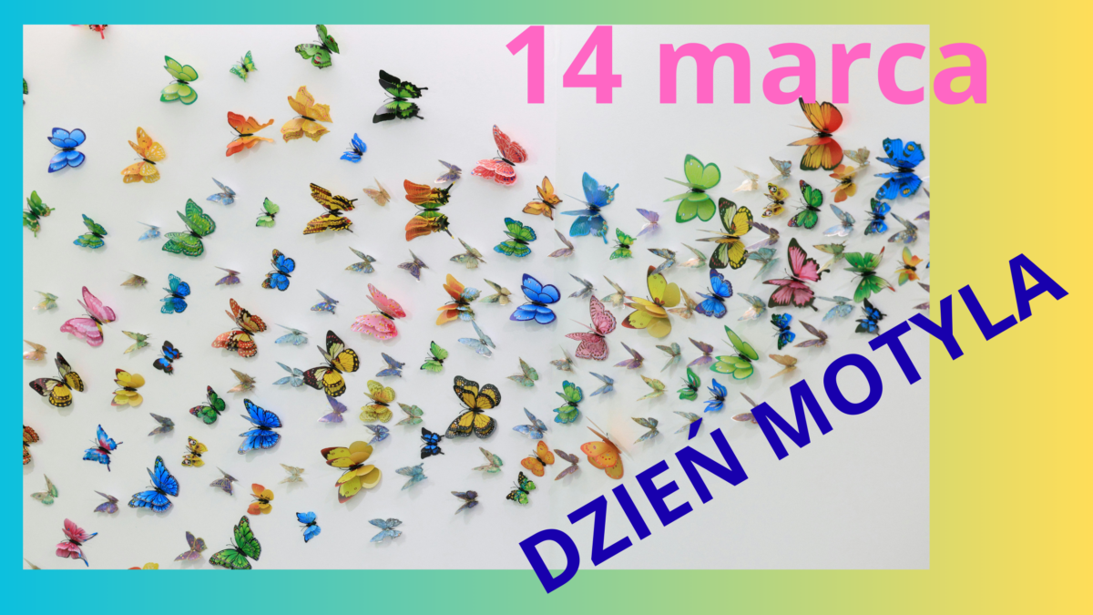 DZIEŃ MOTYLA